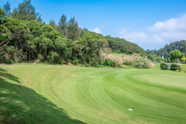 istock The lawn of a golf course 1515194257