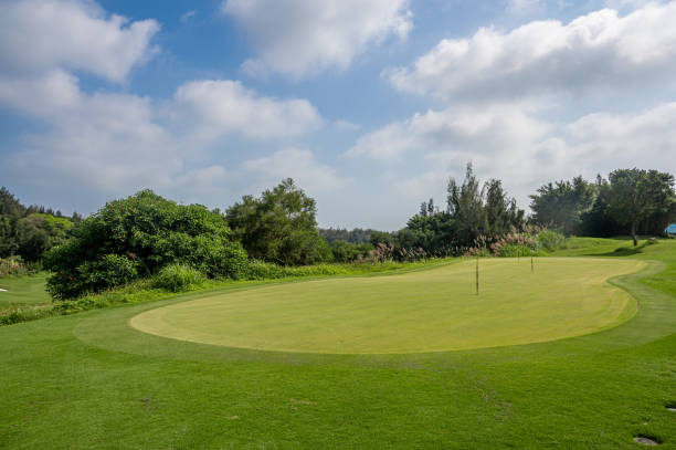 istock The flat lawn and forest of the golf course 1515195294