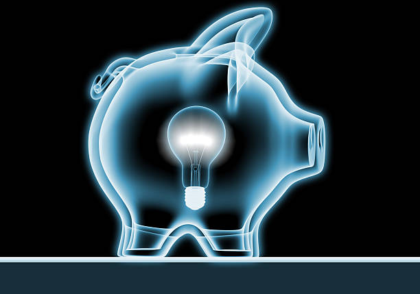 Piggy bank with x-rays. stock photo