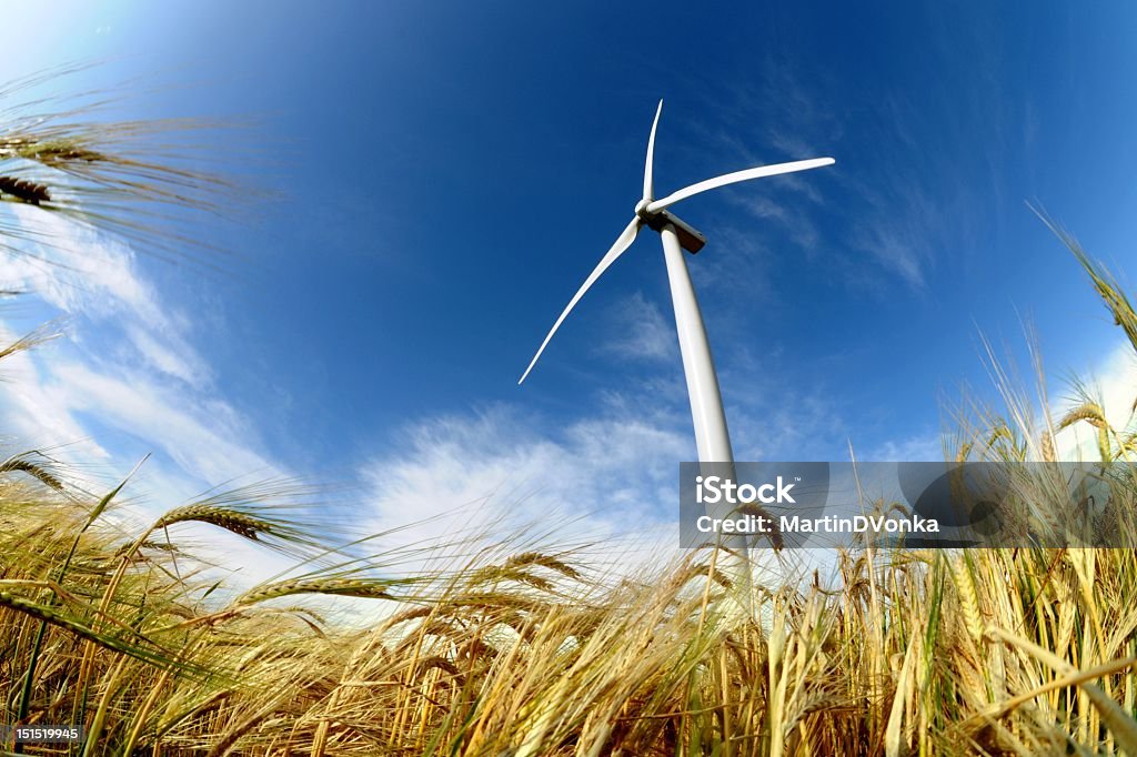 Turbina wiatrowa - Zbiór zdjęć royalty-free (Biznes międzynarodowy)