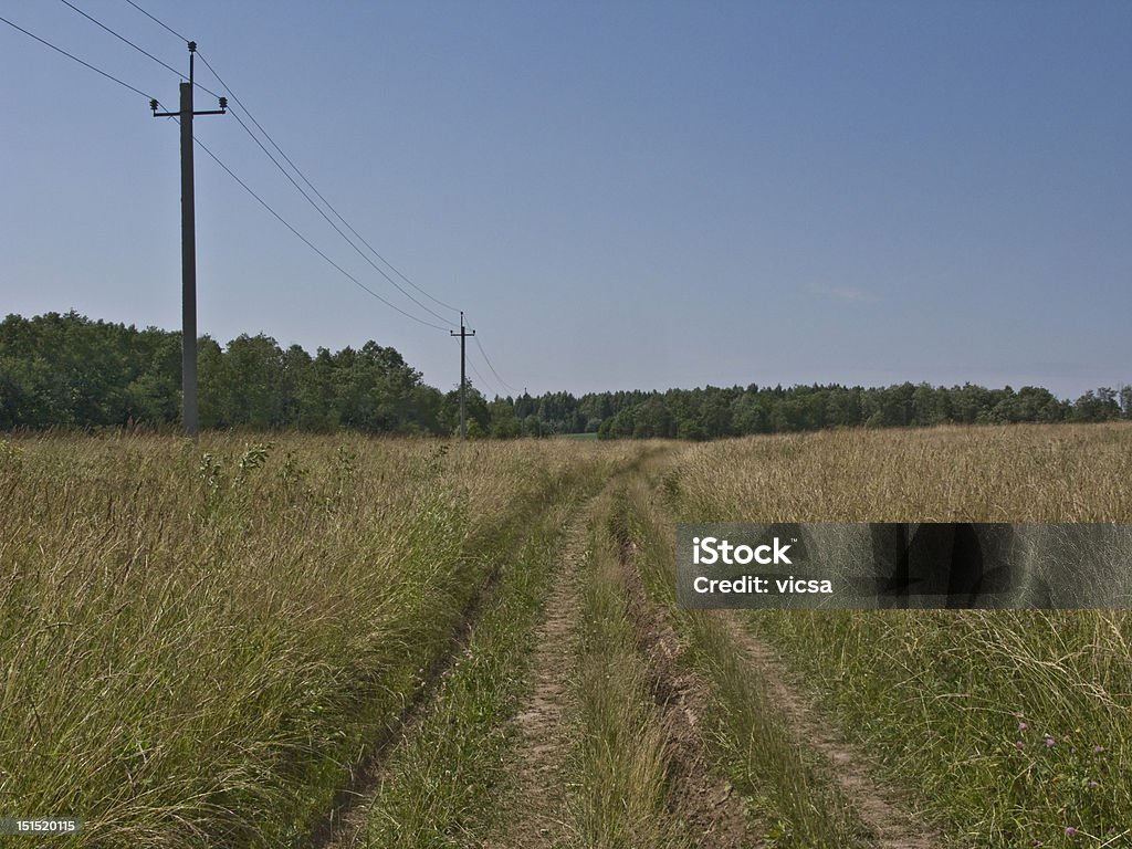 Estrada de terra no campo - Foto de stock de Agricultura royalty-free