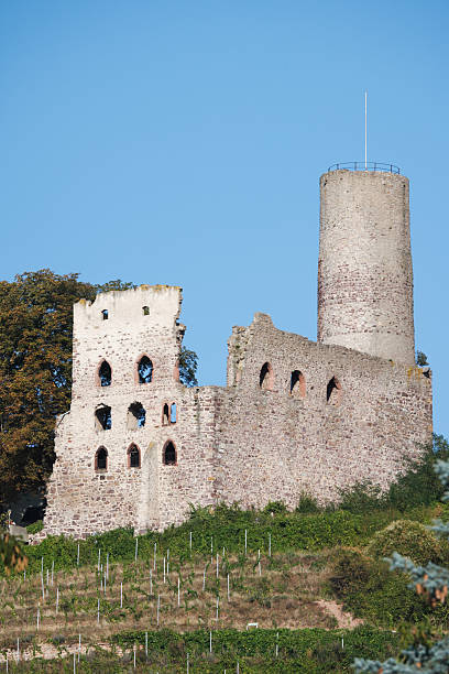 istock ancient ruin of castle on hill, Strahlenburg, Germany 151520144