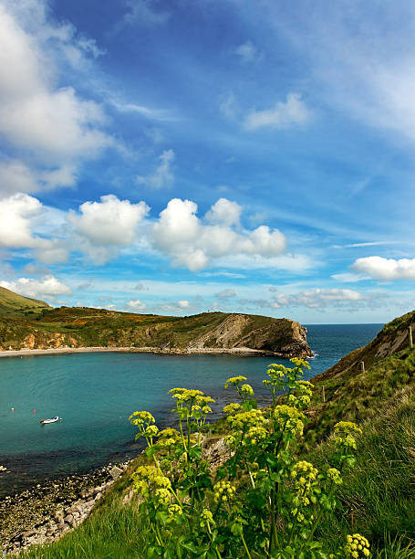 istock Lulworth Cove in Dorset 151520940