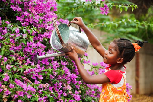 small african girl working in the garden watering the flowers, warm light