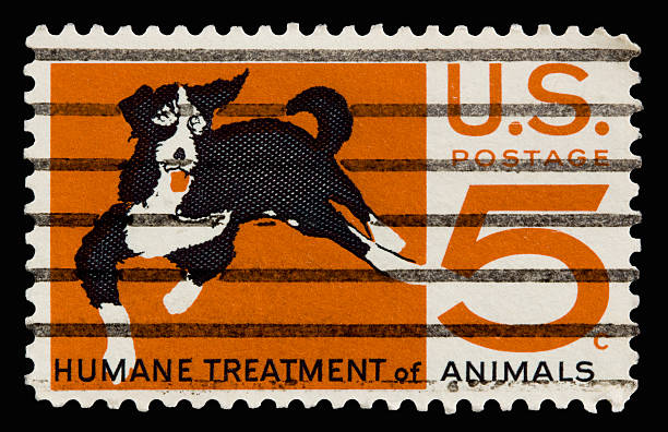 Animals 1966 stock photo