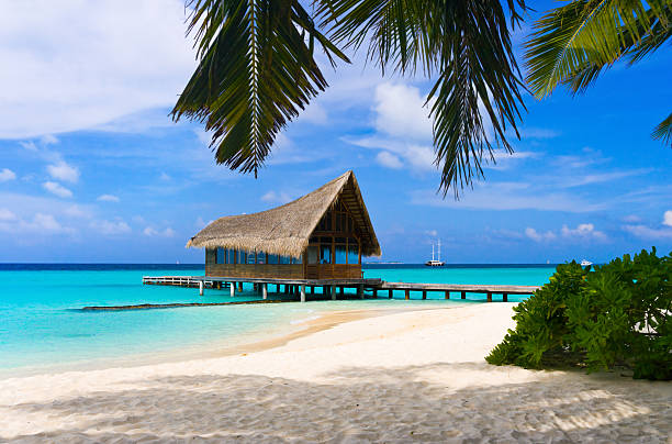 istock Diving club on a tropical island 151522786
