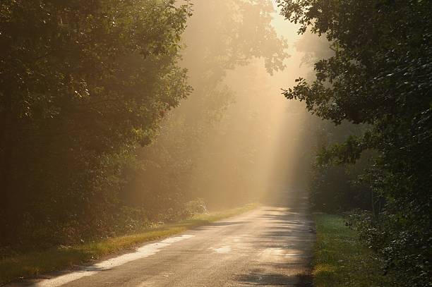 istock Country road at dawn 151522990