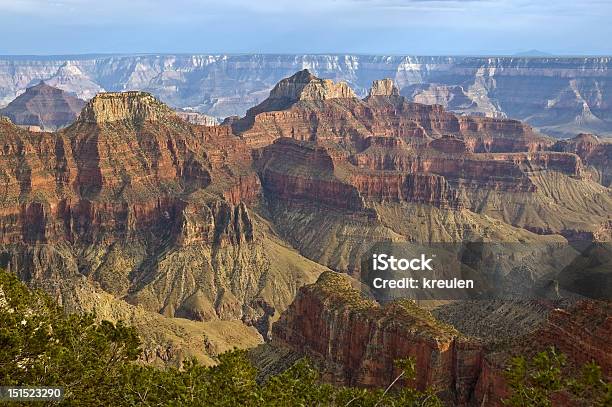 Nordrand Des Grand Canyon Stockfoto und mehr Bilder von Amerikanische Kontinente und Regionen - Amerikanische Kontinente und Regionen, Arizona, Baum