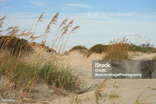 Photo libre de droit de Dunes Jonc De Mer banque d'images et plus d'images libres de droit de Plage - Plage, Île Saint Simon, Brunswick - Géorgie