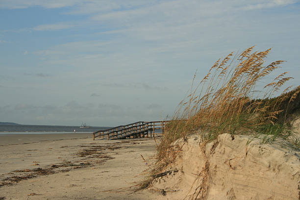 acceso a la playa - jekyll island saint simons island cumberland island sea grass fotografías e imágenes de stock