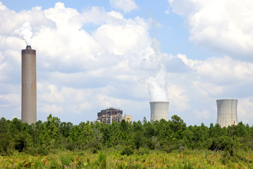 A nuclear power plant peaking out from the trees in southern Florida.