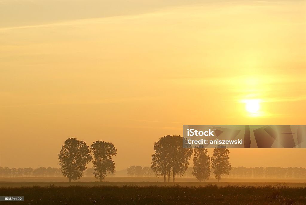 Misty nascer do sol sobre o campo de Verão - Royalty-free Agricultura Foto de stock