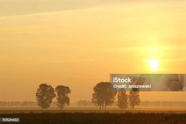 Misty Nascer Do Sol Sobre O Campo De Verão - Fotografias de stock e mais imagens de Agricultura - Agricultura, Ajardinado, Amanhecer