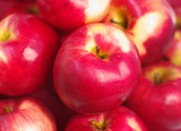 apples.background rouge - cumulate photos et images de collection