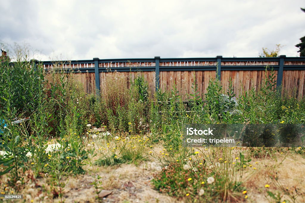 Desordenado patio - Foto de stock de Jardín privado libre de derechos