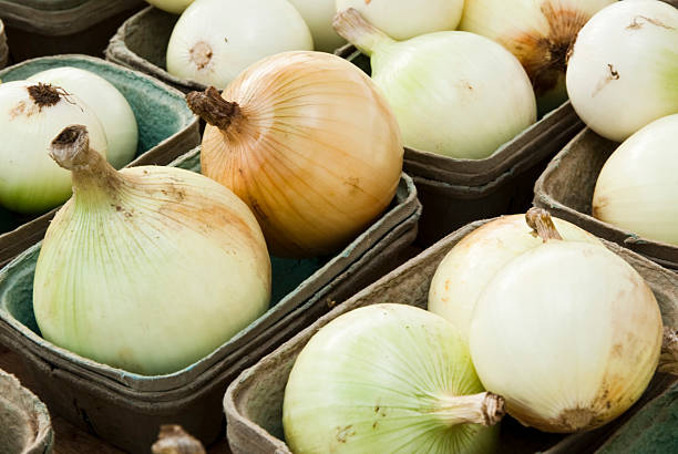 fresh vegetables at a farmers market in Minneapolis