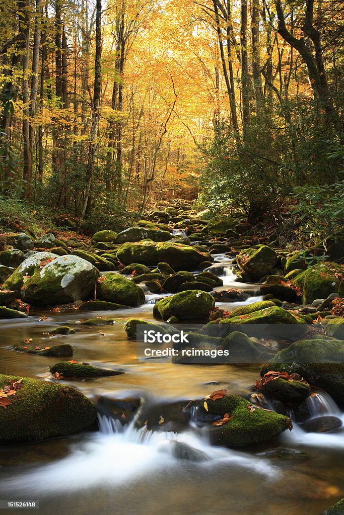 Herbst-stream - Lizenzfrei Nationalpark Great Smoky Mountains Stock-Foto