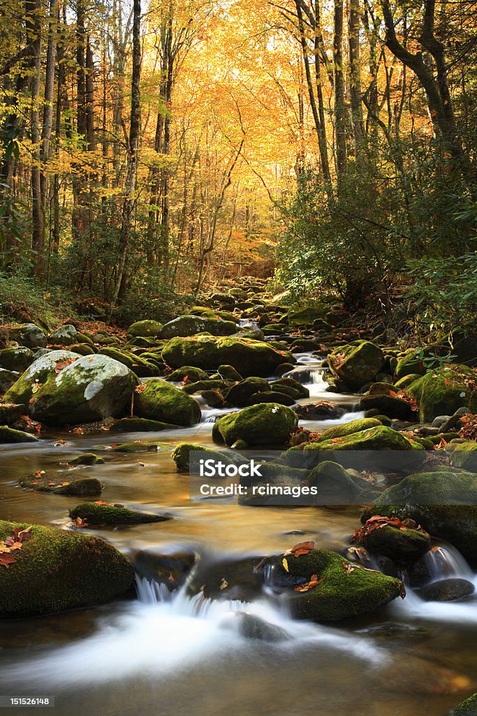 Fluxo de outono - Foto de stock de Parque Nacional das Great Smoky Mountains royalty-free