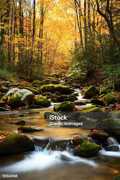 Foto de Fluxo De Outono e mais fotos de stock de Parque Nacional das Great Smoky Mountains - Parque Nacional das Great Smoky Mountains, Tennessee, Montanhas Great Smoky