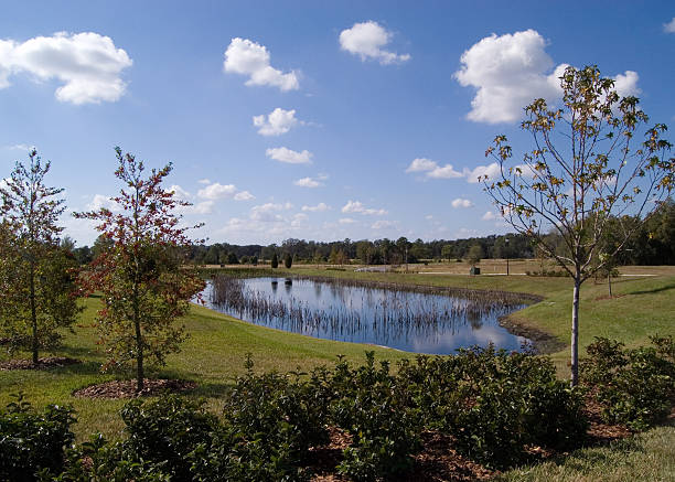 istock Pond lays in a grassy expanse 151527163