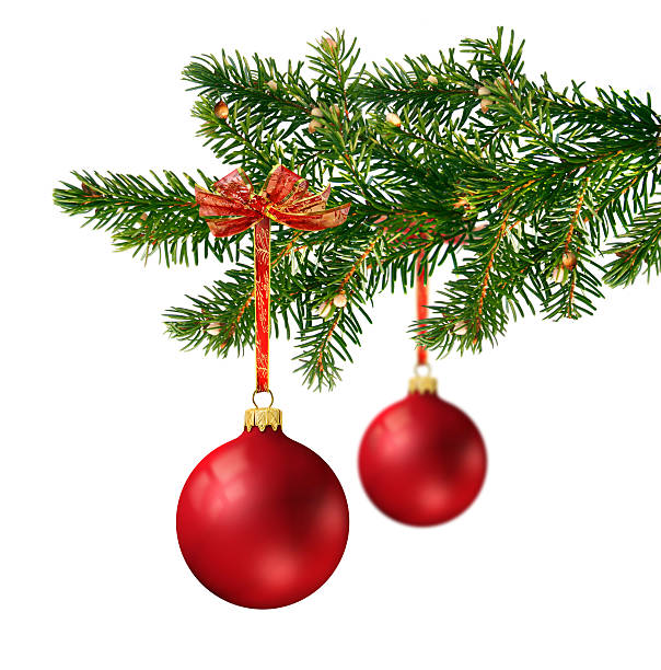 istock Two red glass balls on Christmas tree branch 151527329