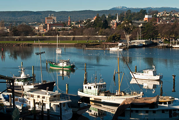 Fishing boats on Tamar River, Launceston, Tasmania Fishing boats on Tamar River, Launceston, Tasmania, Australia.  Mt. Barrow dusted with snow in background. Also in view is the Tamar River flood levee. launceston tasmania stock pictures, royalty-free photos & images