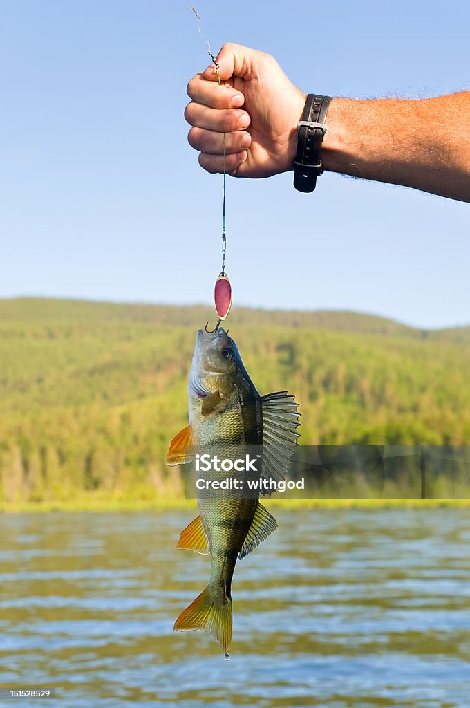 catch - Foto de stock de Anzol de pesca royalty-free