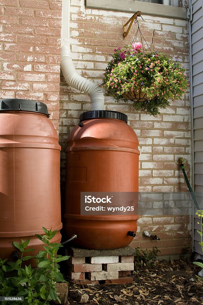 Rain Barrels Two linked rain barrels. The rain water collected in these barrels is sufficient to water a small garden for weeks. Rain Stock Photo