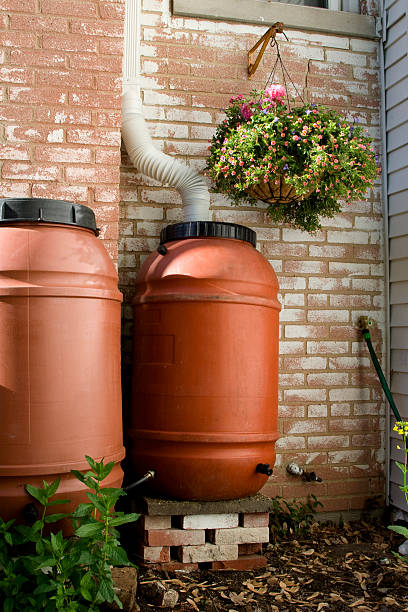 Rain Barrels Two linked rain barrels. The rain water collected in these barrels is sufficient to water a small garden for weeks. barrel photos stock pictures, royalty-free photos & images