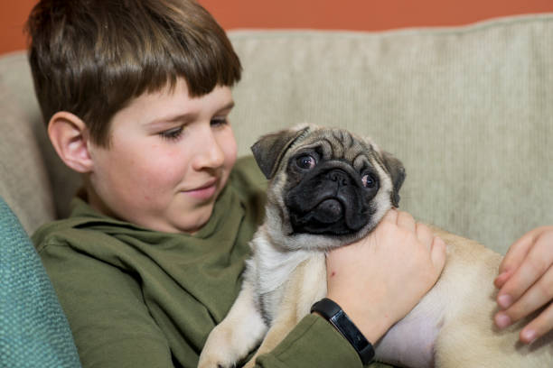 istock Holding His New Pug Puppy 1515287159