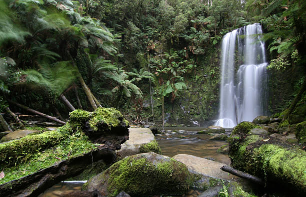 cascate beauchamp - otway national park foto e immagini stock