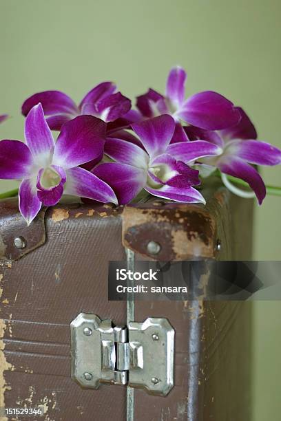Violet Orchid Stock Photo - Download Image Now - Beauty In Nature, Botany, Bride