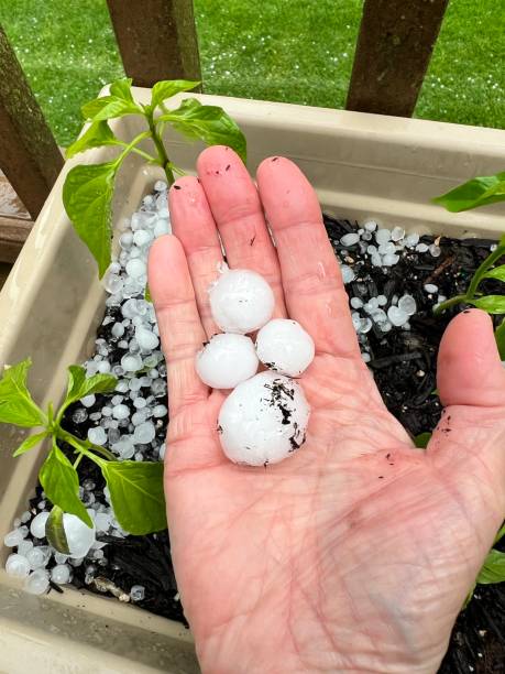 istock A hand holding large hail from a summer storm. 1515296389