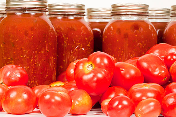 istock Field Tomatoes with Canned Tomato Sauce 151529971