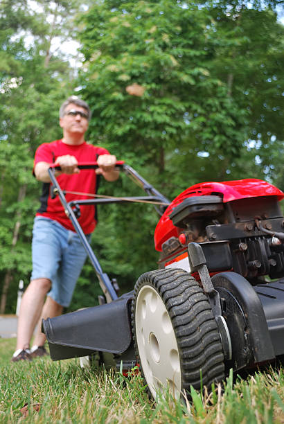 istock Man Mowing the Lawn 151530062