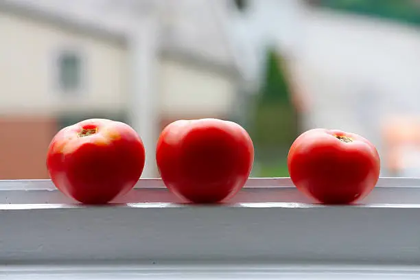 three tomatos at window