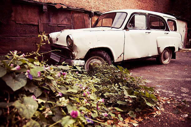 infrecuente coche en una antigua jardín - rarity fotografías e imágenes de stock