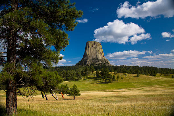 Devils Tower with Prayer Flags Hanging in the Foreground stock photo