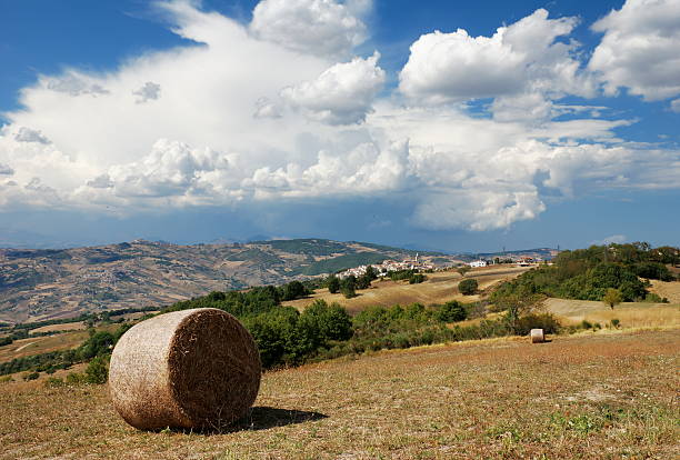 Summertime molise landscape stock photo