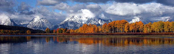 Oxbow Bend Panoramic stock photo