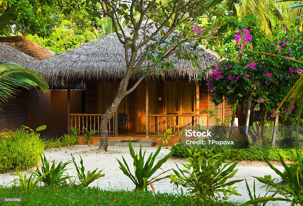 Bungalow in jungles Bungalow in jungles, flowers and trees Architecture Stock Photo