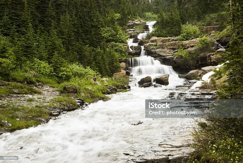 Cachoeiras em Glacier - Foto de stock de Caindo royalty-free