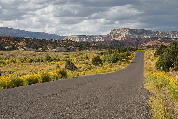 road witout end and yellow flowers road without end with beautiful clouds and yellow flowers witout stock pictures, royalty-free photos & images