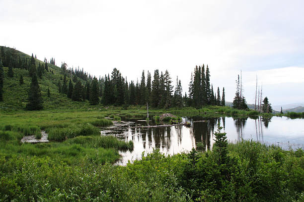 istock Evening view of pond 151531772