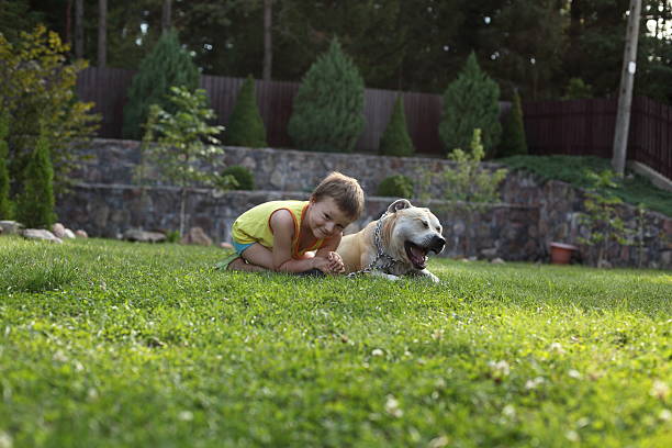 istock boy and dog in the garden 151532202