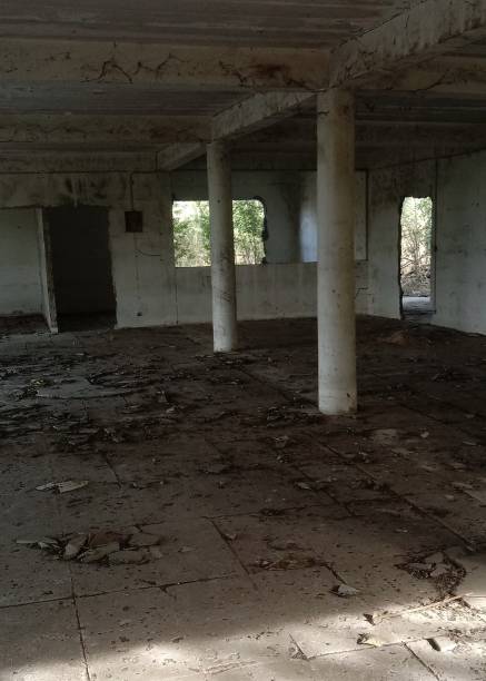 istock abandoned home in The forest 1515322301