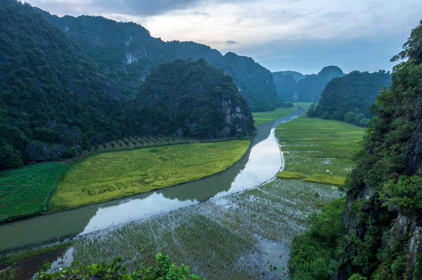 istock Rice field and river in NinhBinh, Vietnam 1515323449