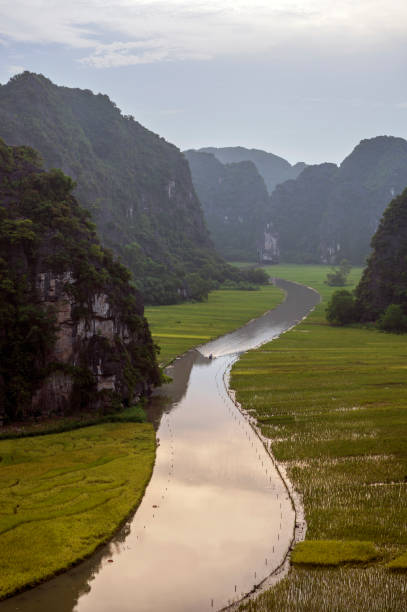 Rice field and river in NinhBinh, Vietnam