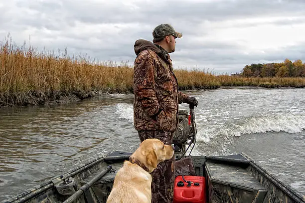 Photo of Duck Hunter and Dog