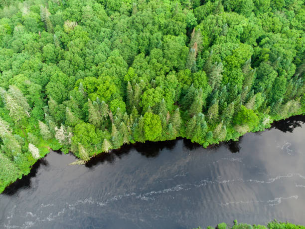 istock Aerial view of Jacques Cartier River 1515329840